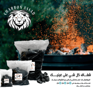 664aa85420895 1716168788.png